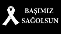 MİLLETİMİZİN BAŞI SAĞOLSUN.