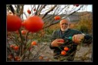 SEÇKİN YALÇIN’IN FOTOĞRAFLARI