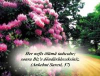BİRECİK İŞLETME ŞEFİ ÖMER ÖZARSLAN VEFAT ETTİ