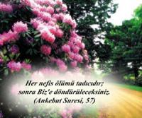 NADİR ÖZER VEFAT ETTİ