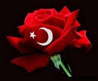YAŞAR HITAY’I  ANIYORUZ