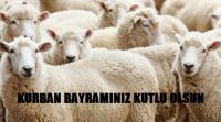BAYRAMINIZ KUTLU OLSUN