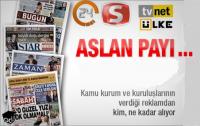 REKLAMLARDA ASLAN PAYI ...