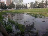 YEREL BASINDAN SEÇMELER…