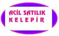 TELEKOM SATIŞA AĞUSTOSTA DA DEVAM EDİYOR