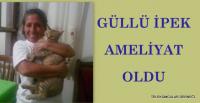 GÜLLÜ İPEK AMELİYAT OLDU