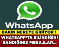 WHATSAPPIN TÜM ÖZELLİKLERİNE HAKİM MİSİNİZ?