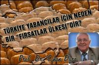 TÜRKİYE; YABANCILAR İÇİN FIRSATLAR ÜLKESİ