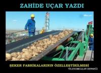 ŞEKER FABRİKALARININ ÖZELLEŞTİRİLMESİ
